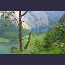 2007-05_10Saletsteig_Sagereck-Steig (061).JPG